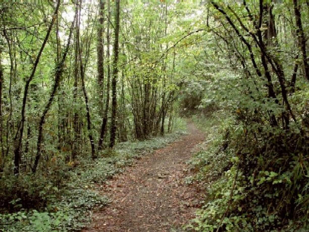 Casacalenda - Molise